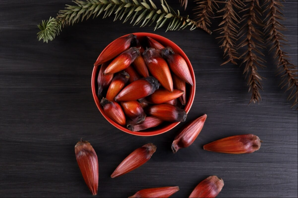 Além de ter um sabor que conquista muitas pessoas ao redor do país, o pinhão também é um alimento fonte de bons nutrientes